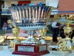 Trofej Vidovdana