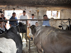 Preventiva pojave bolesti